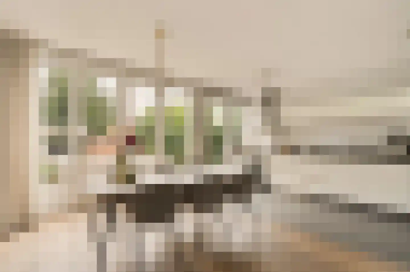 Goeman Borgesiuslaan 15 Naarden thumbnail 12