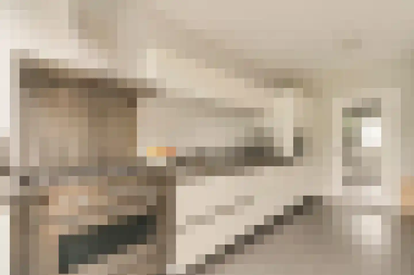 Goeman Borgesiuslaan 15 Naarden thumbnail 15