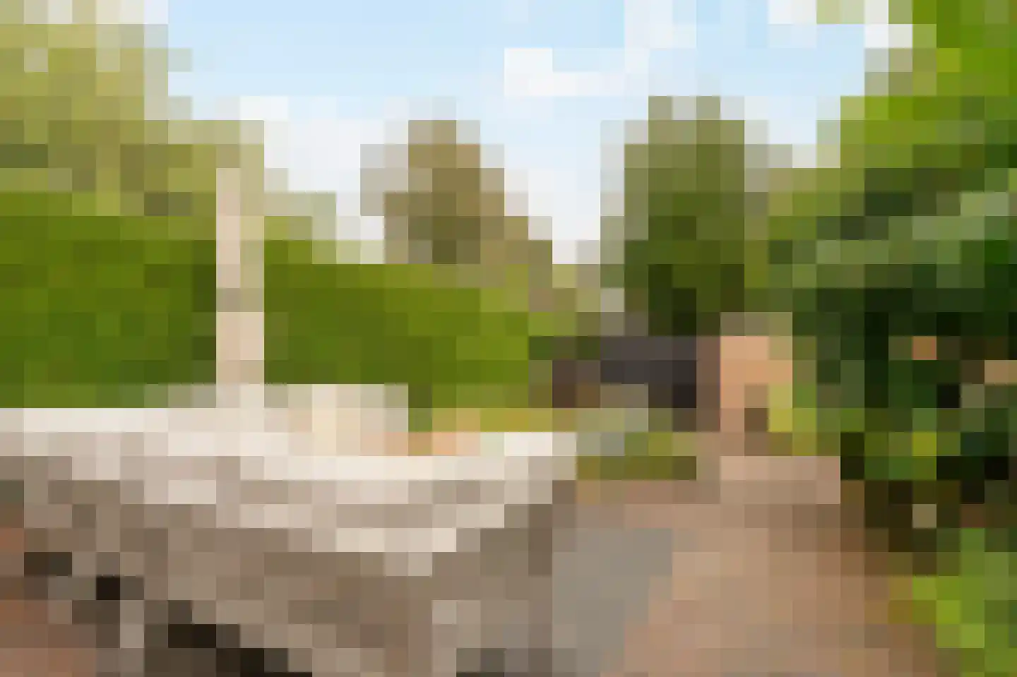 Goeman Borgesiuslaan 15 Naarden thumbnail 19
