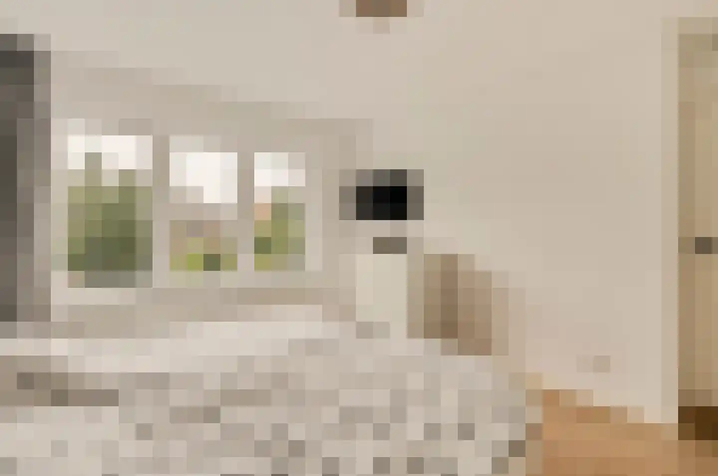 Goeman Borgesiuslaan 15 Naarden thumbnail 24