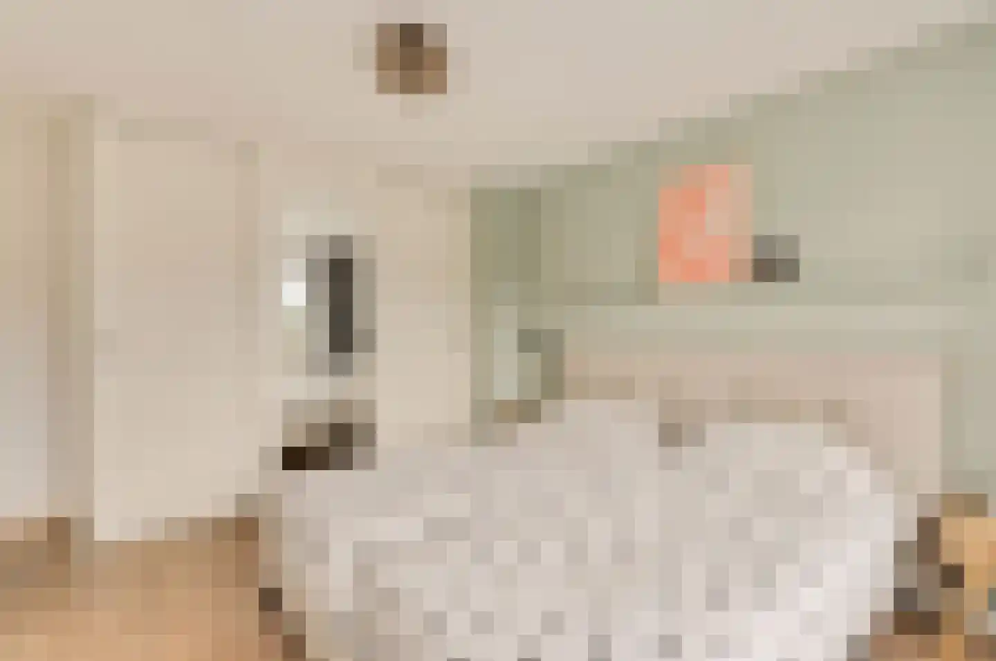 Goeman Borgesiuslaan 15 Naarden thumbnail 25