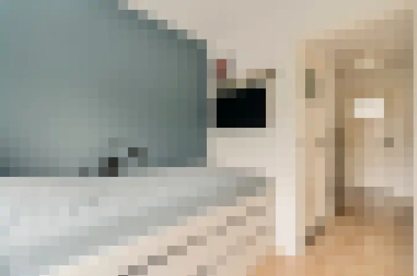 Goeman Borgesiuslaan 15 Naarden thumbnail 29