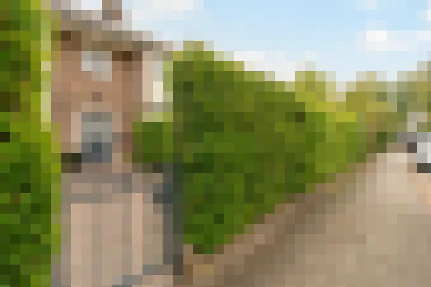 Goeman Borgesiuslaan 15 Naarden foto 3