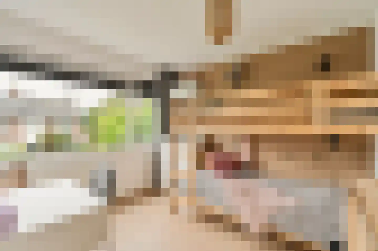 Goeman Borgesiuslaan 15 Naarden thumbnail 30