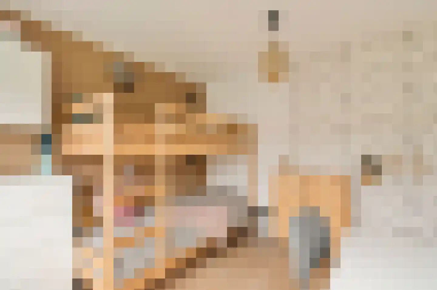 Goeman Borgesiuslaan 15 Naarden thumbnail 32