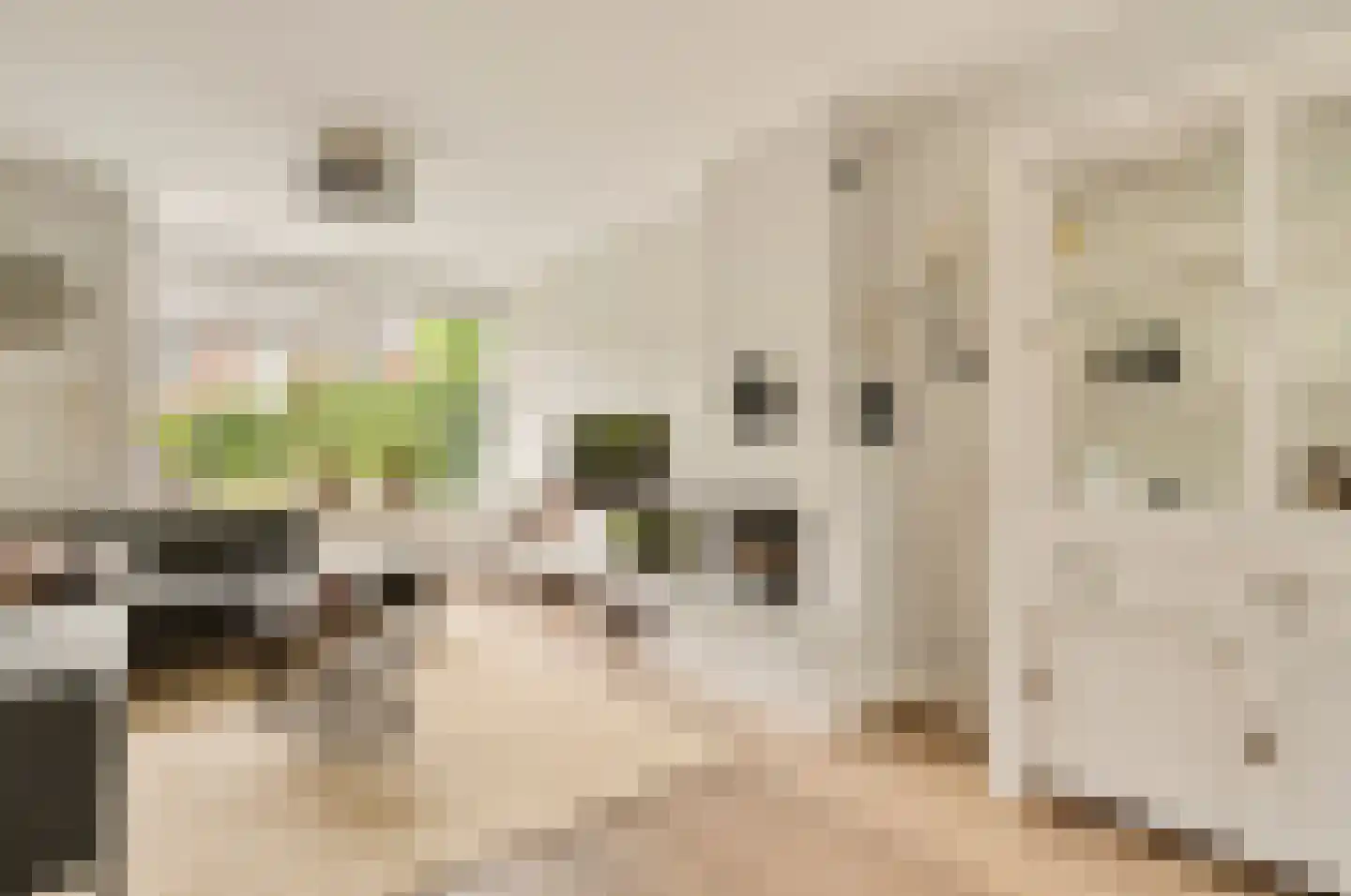Goeman Borgesiuslaan 15 Naarden thumbnail 8
