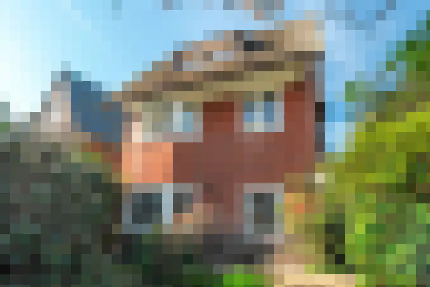 Goeman Borgesiuslaan 17 Groningen thumbnail 13