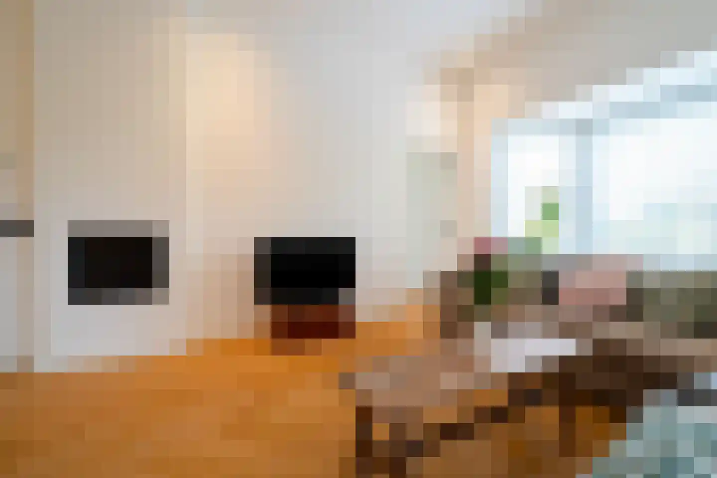 Goeman Borgesiuslaan 17 Groningen thumbnail 23