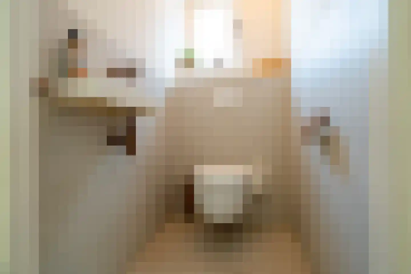 Goeman Borgesiuslaan 17 Groningen thumbnail 43