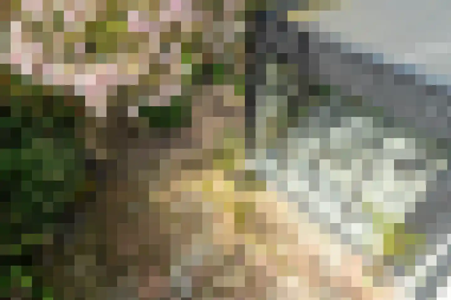 Goeman Borgesiuslaan 17 Groningen thumbnail 56