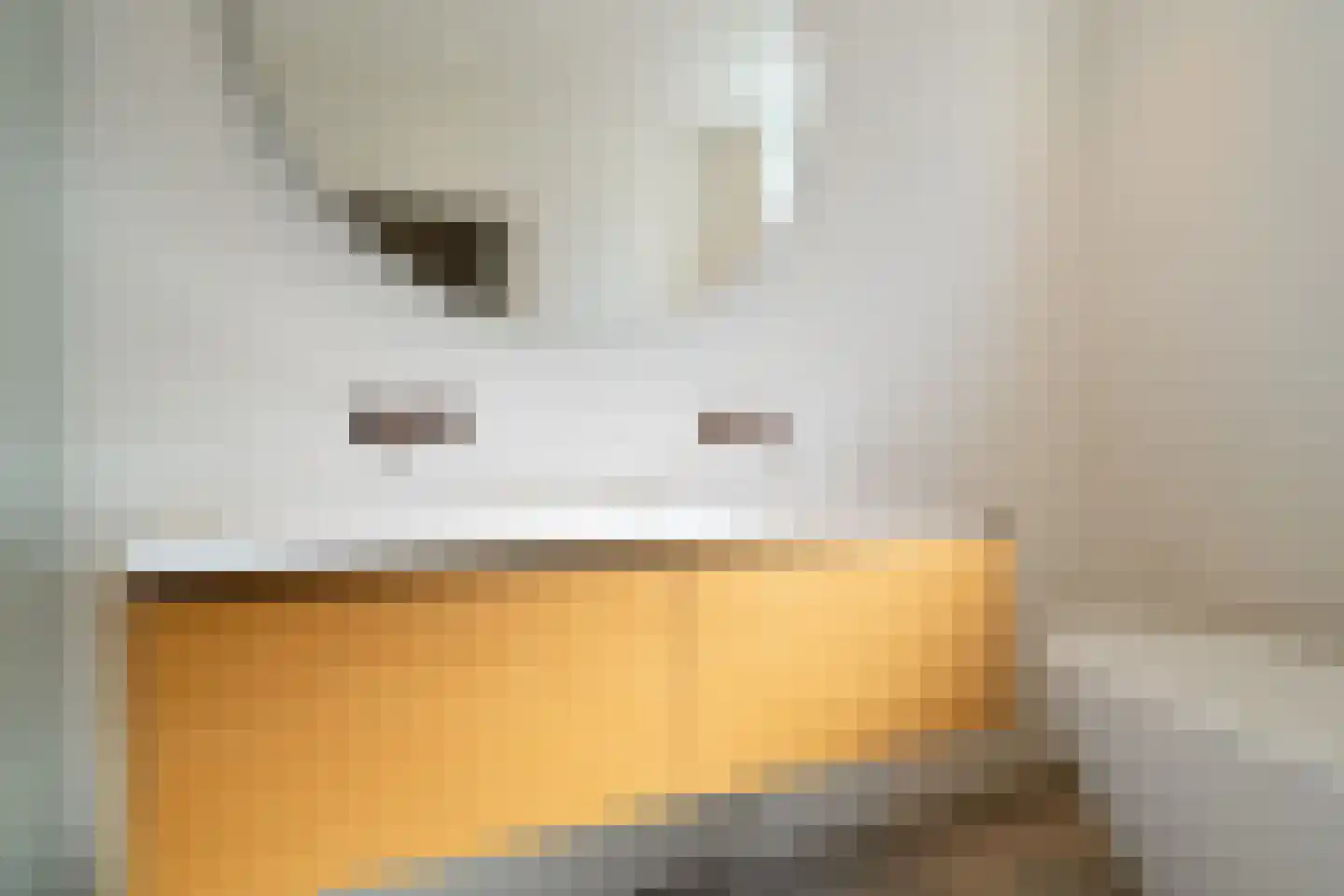 Goeman Borgesiuslaan 17 Groningen thumbnail 67