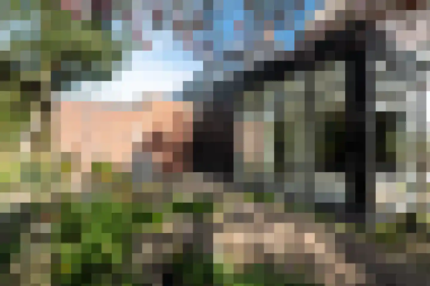 Goeman Borgesiuslaan 17 Groningen thumbnail 80
