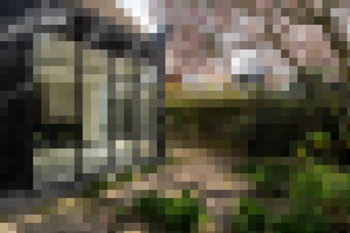 Goeman Borgesiuslaan 17 Groningen thumbnail 81