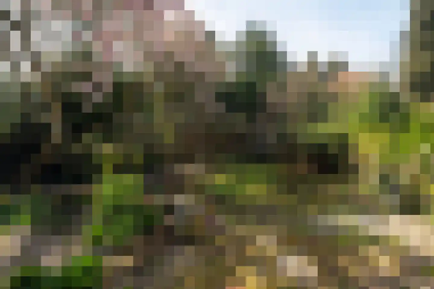 Goeman Borgesiuslaan 17 Groningen thumbnail 82