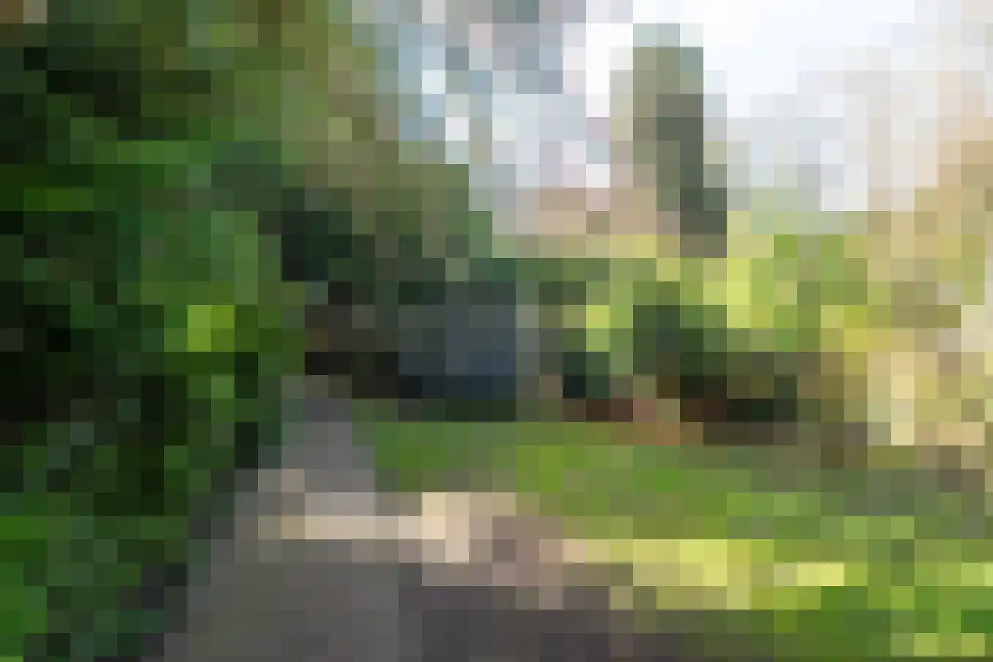 Goeman Borgesiuslaan 17 Groningen thumbnail 83