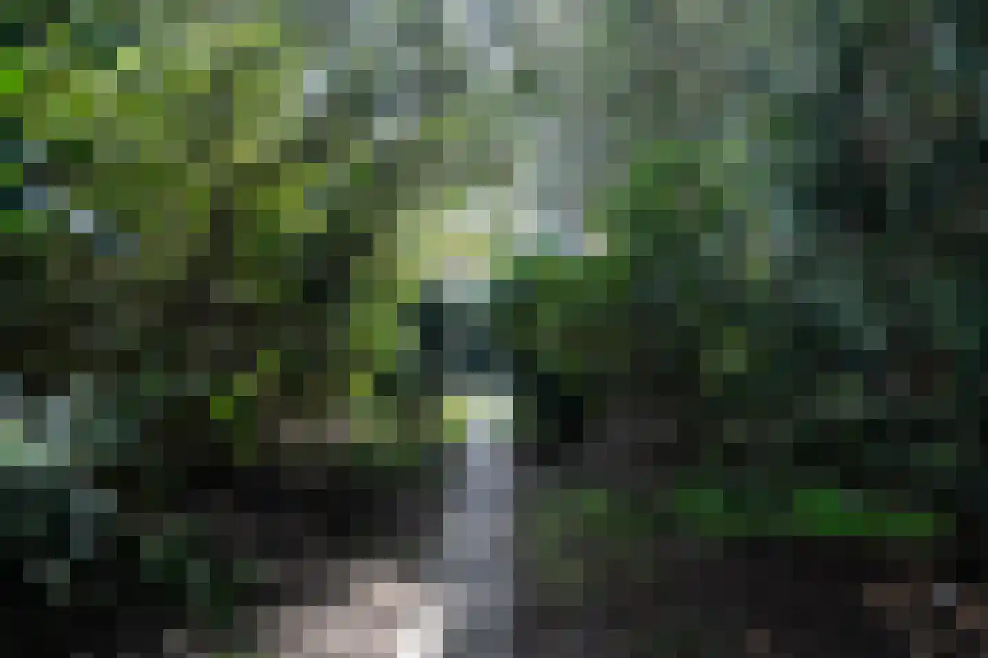 Goeman Borgesiuslaan 17 Groningen thumbnail 84
