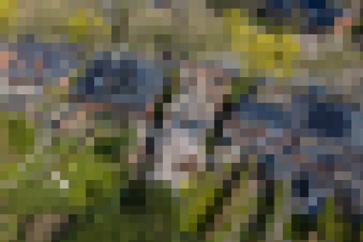 Goeman Borgesiuslaan 17 Groningen thumbnail 89