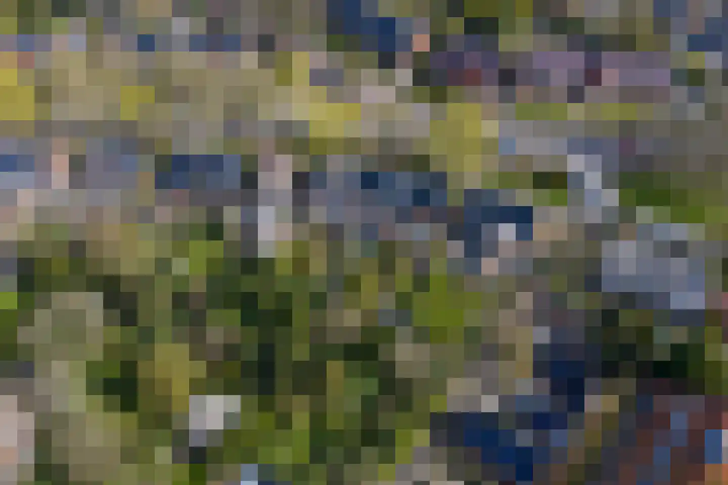 Goeman Borgesiuslaan 17 Groningen thumbnail 90