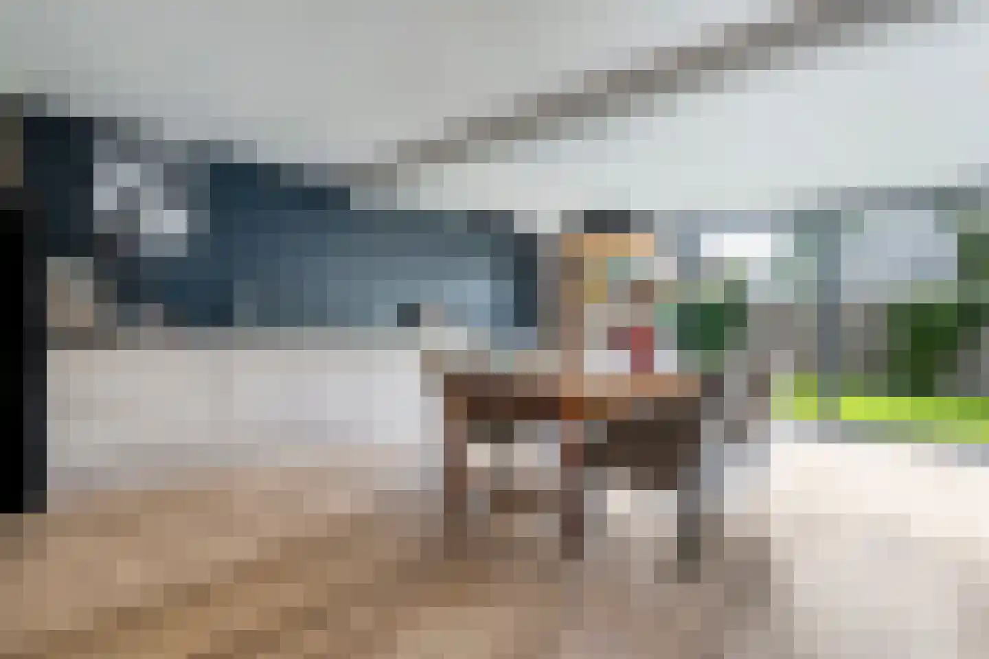Goeman Borgesiuslaan 3 Zwolle thumbnail 18