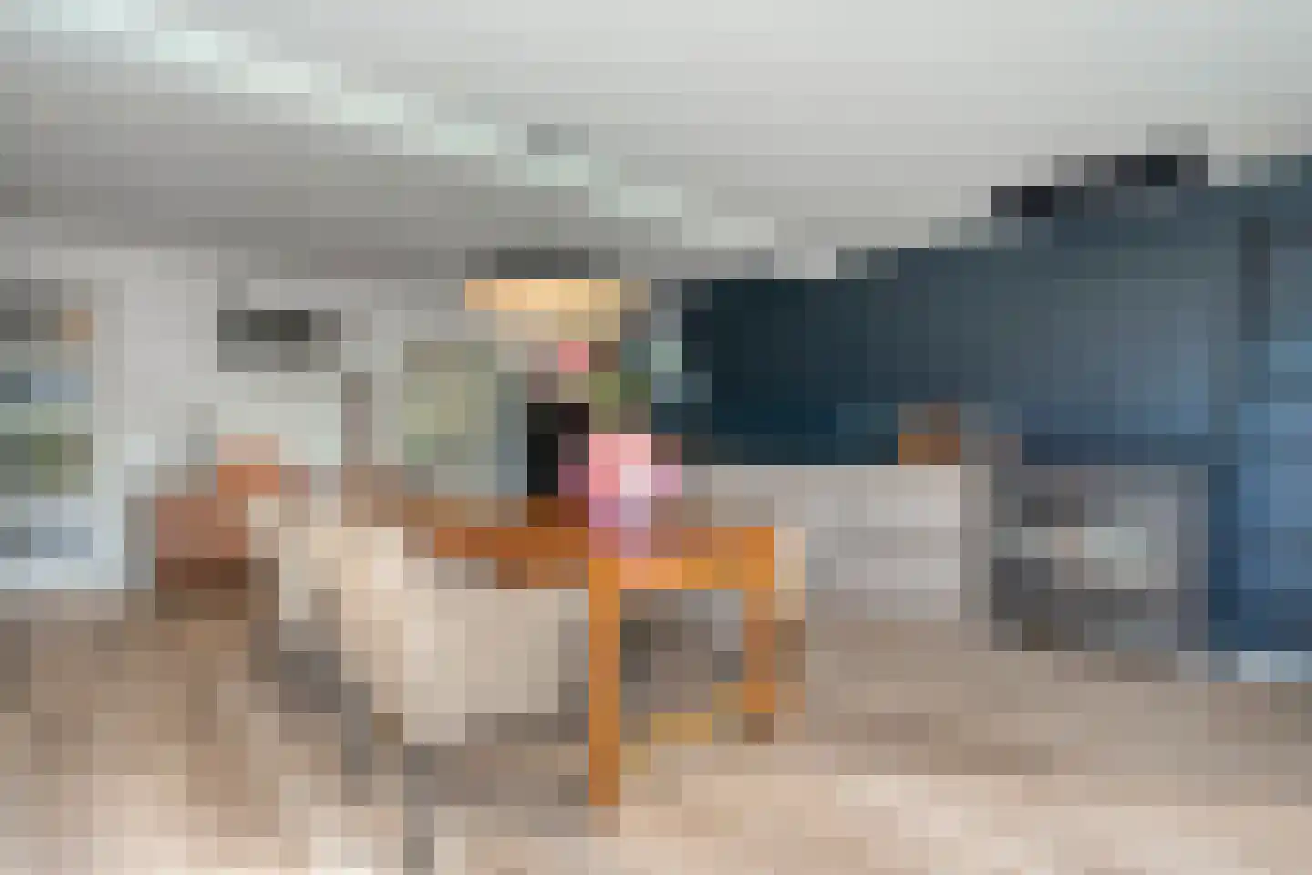 Goeman Borgesiuslaan 3 Zwolle thumbnail 19