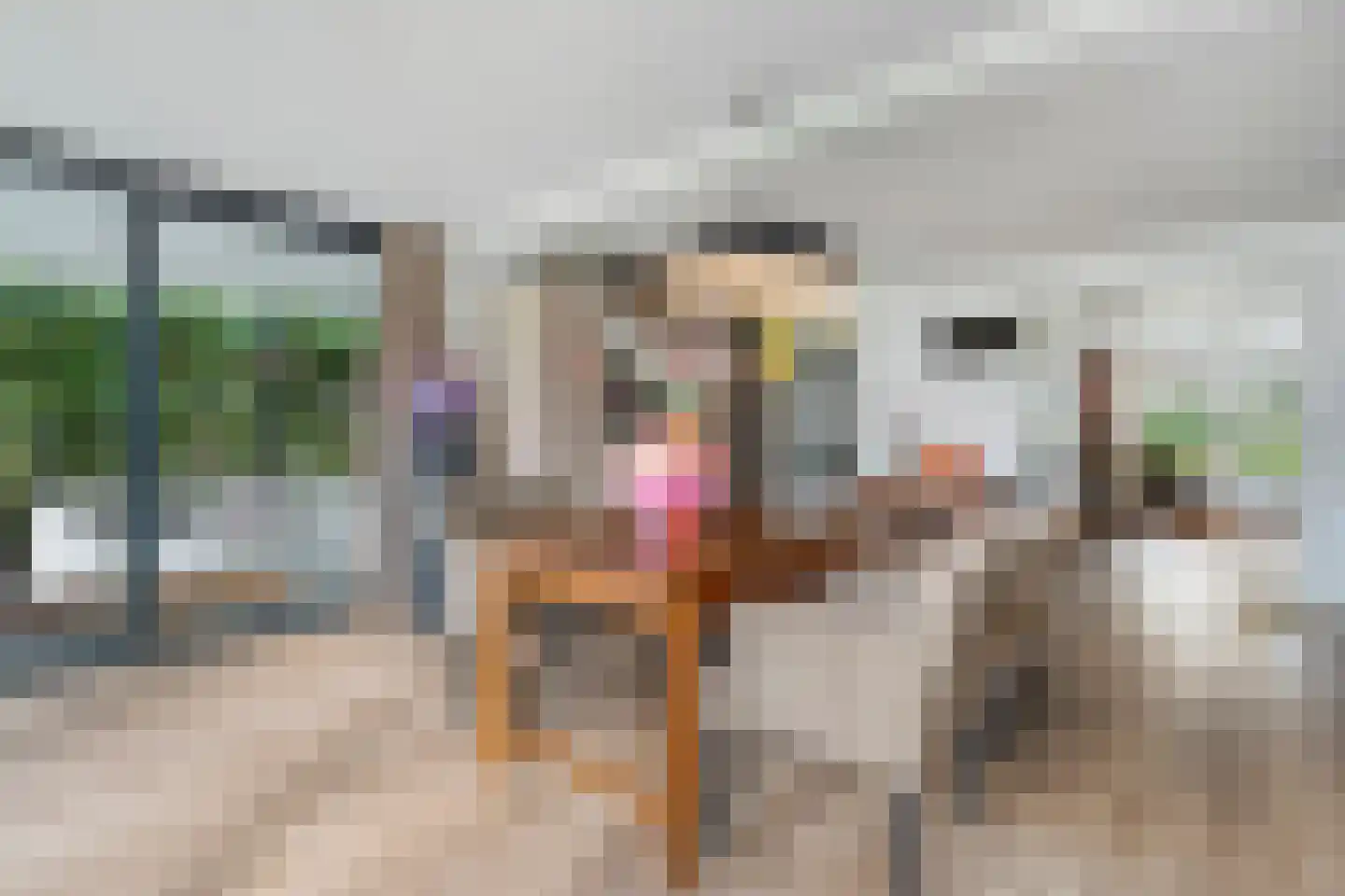 Goeman Borgesiuslaan 3 Zwolle thumbnail 21