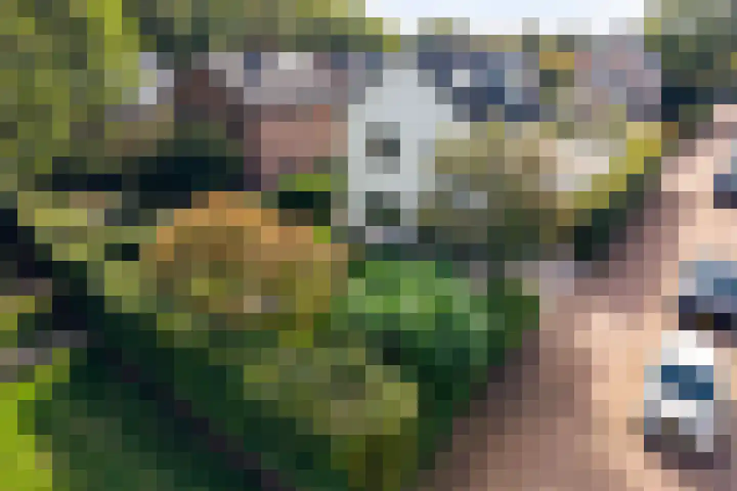 Goeman Borgesiuslaan 3 Zwolle foto 3