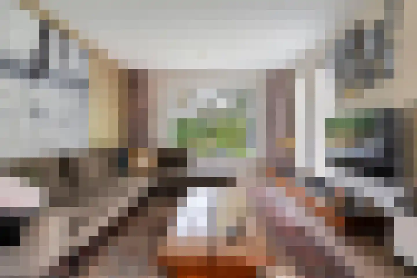 Goeman Borgesiuslaan 3 Zwolle thumbnail 31