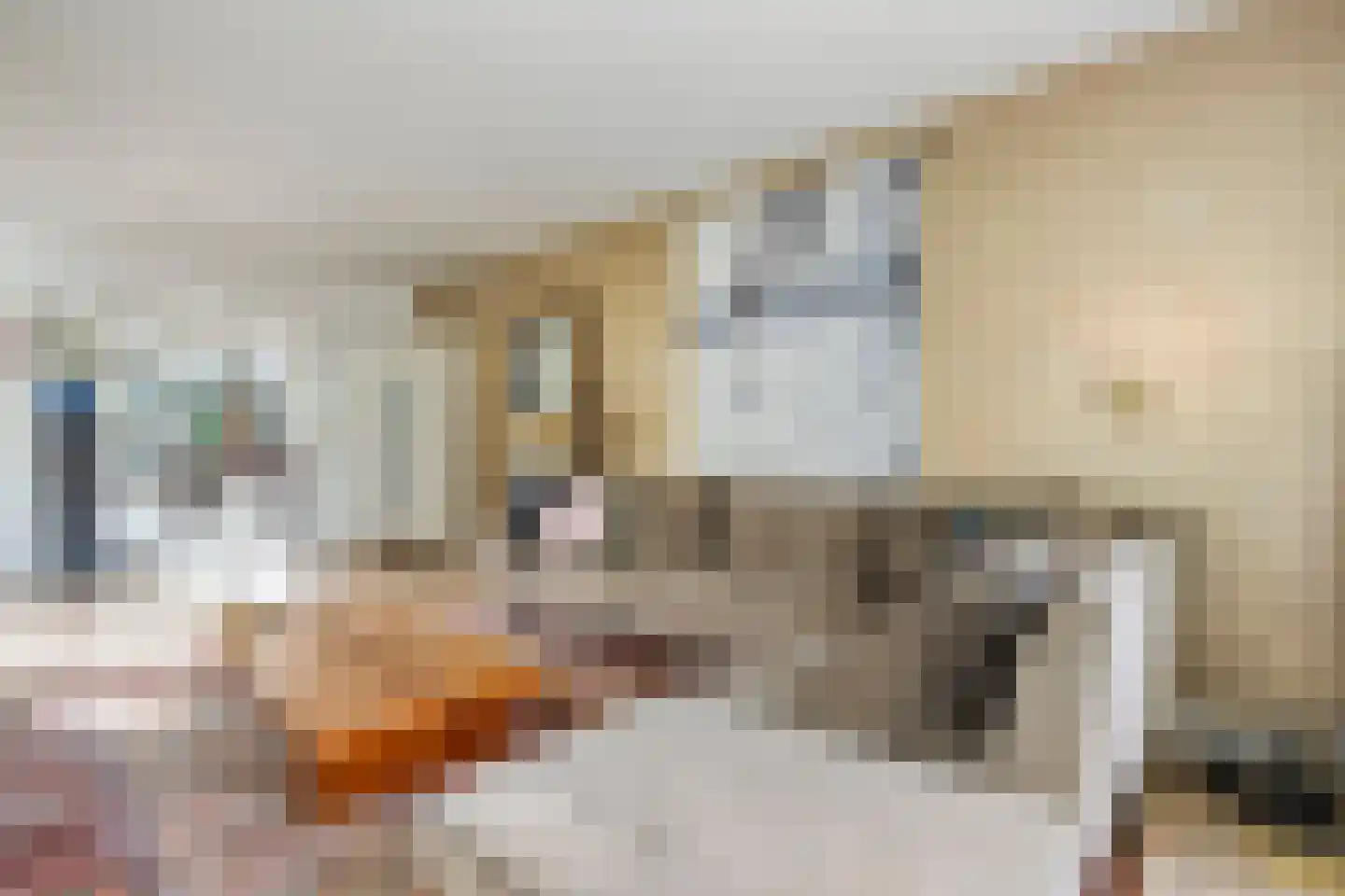 Goeman Borgesiuslaan 3 Zwolle thumbnail 33