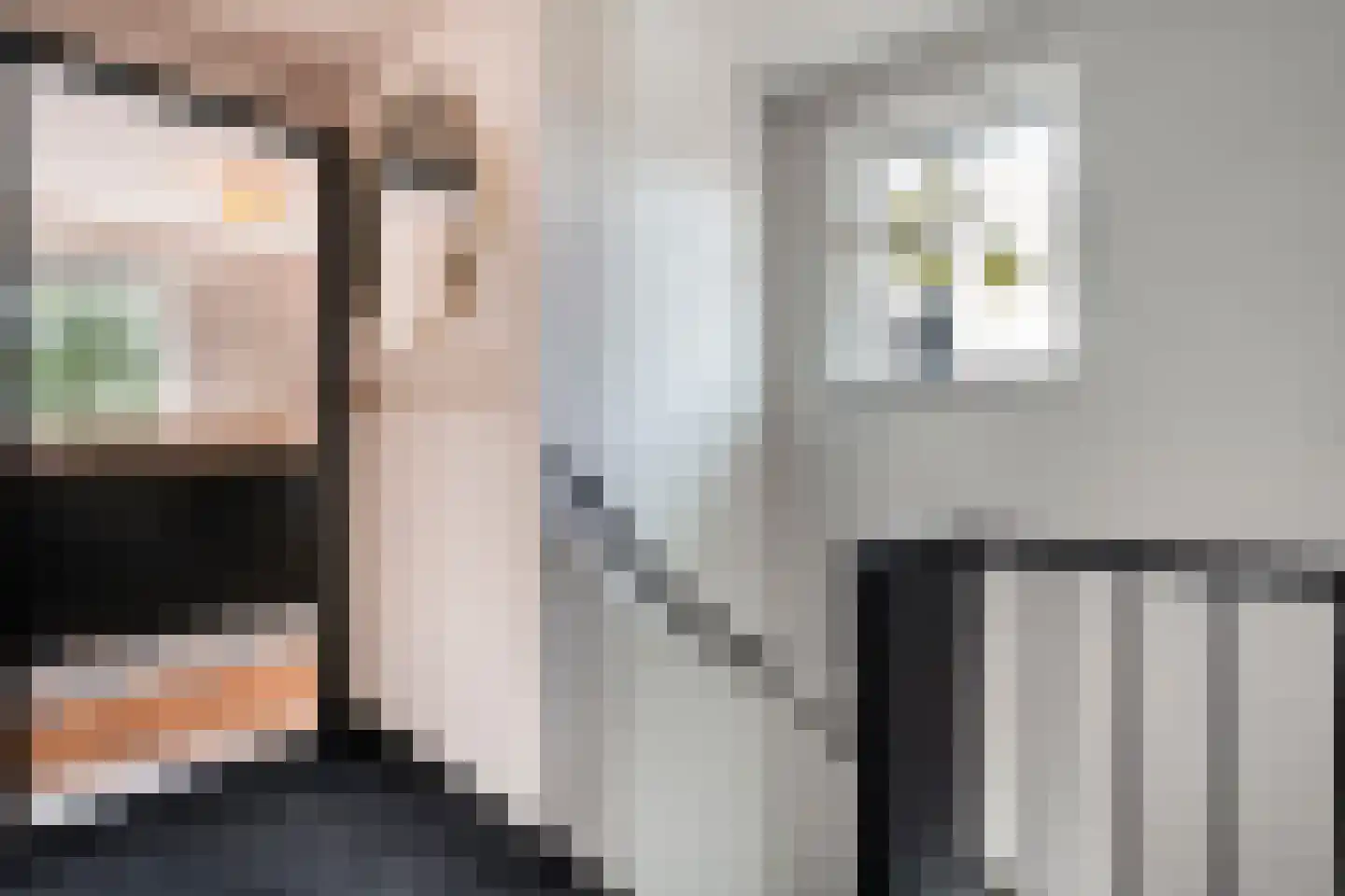 Goeman Borgesiuslaan 3 Zwolle thumbnail 36