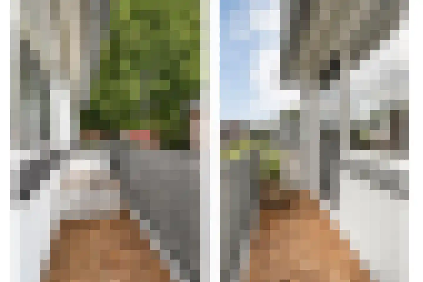 Goeman Borgesiuslaan 3 Zwolle thumbnail 40