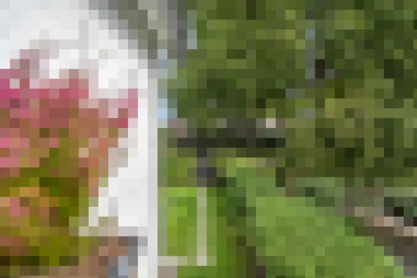 Goeman Borgesiuslaan 3 Zwolle thumbnail 41