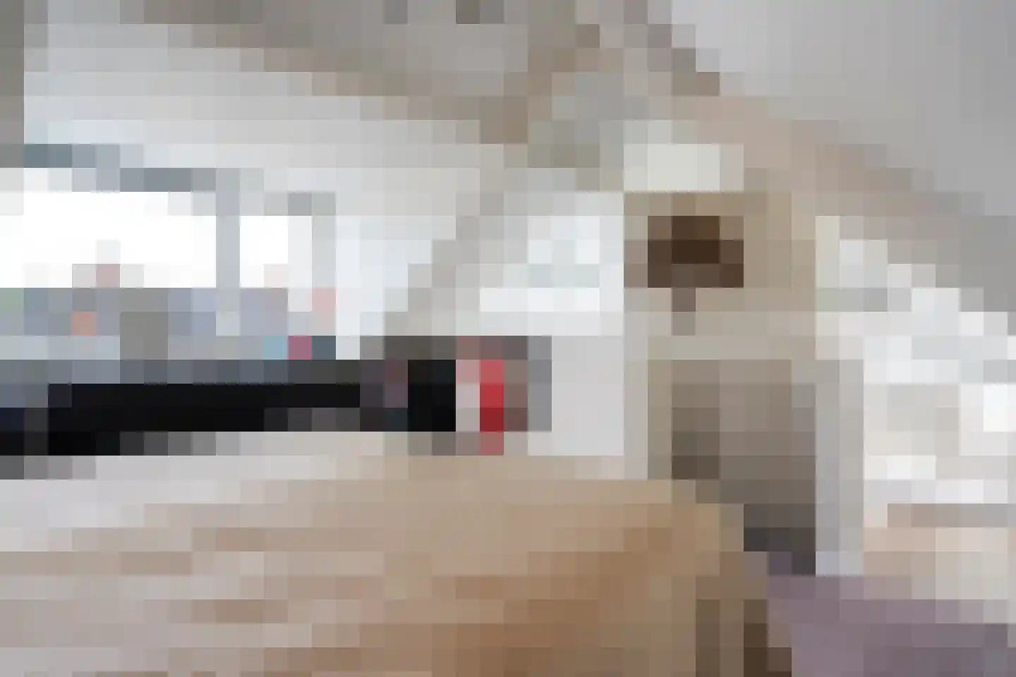 Goeman Borgesiuslaan 3 Zwolle thumbnail 49