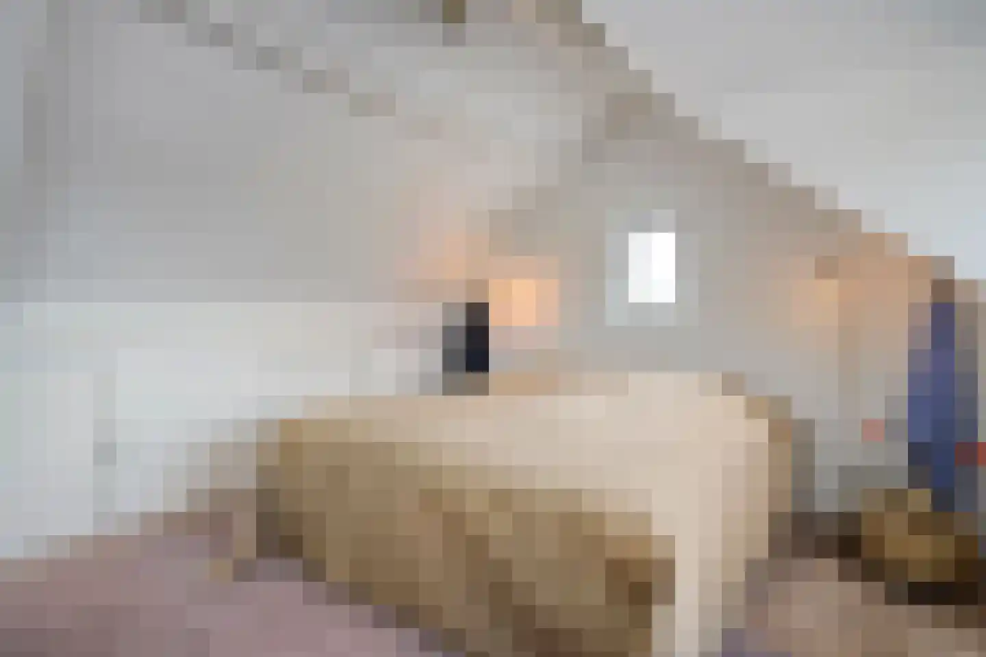 Goeman Borgesiuslaan 3 Zwolle thumbnail 50