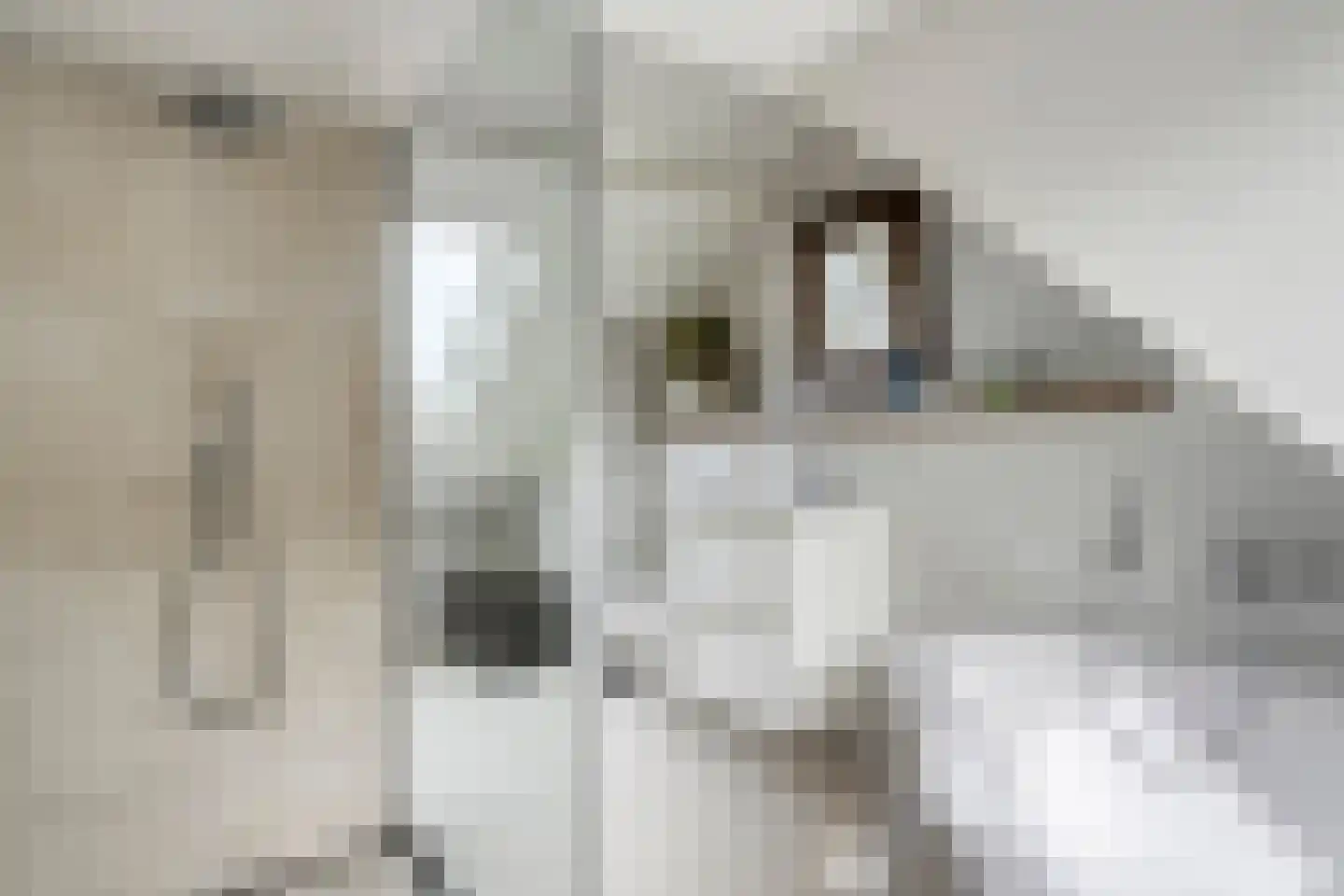 Goeman Borgesiuslaan 3 Zwolle thumbnail 53