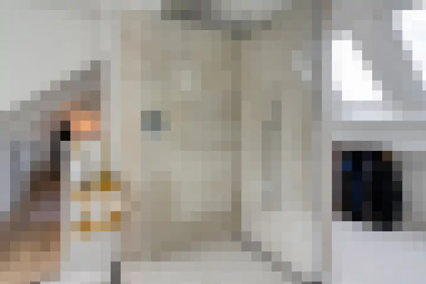 Goeman Borgesiuslaan 3 Zwolle thumbnail 55