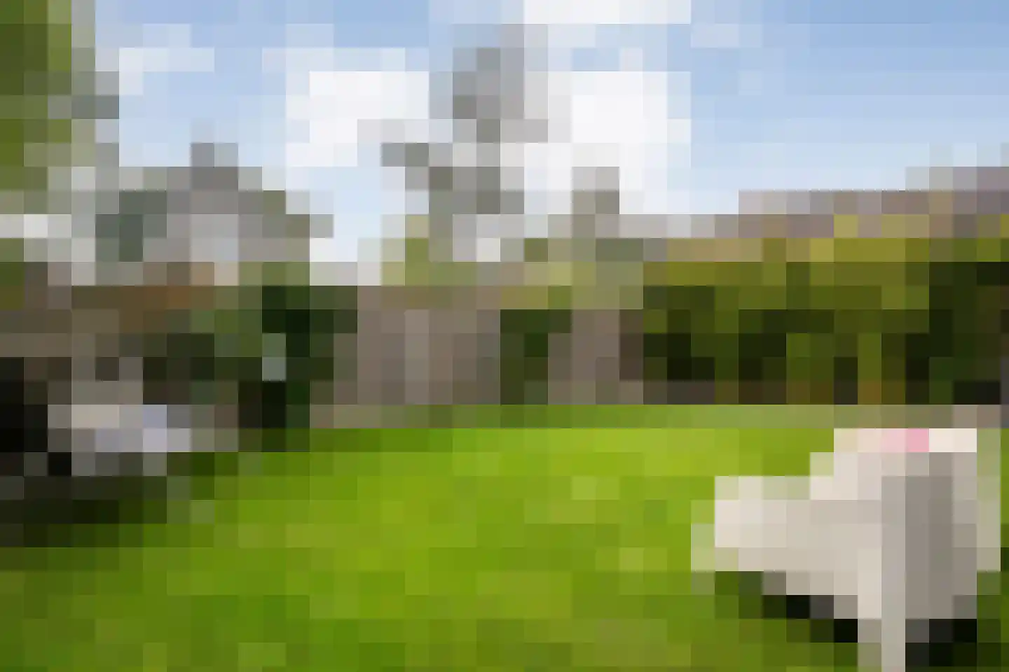 Goeman Borgesiuslaan 3 Zwolle thumbnail 61