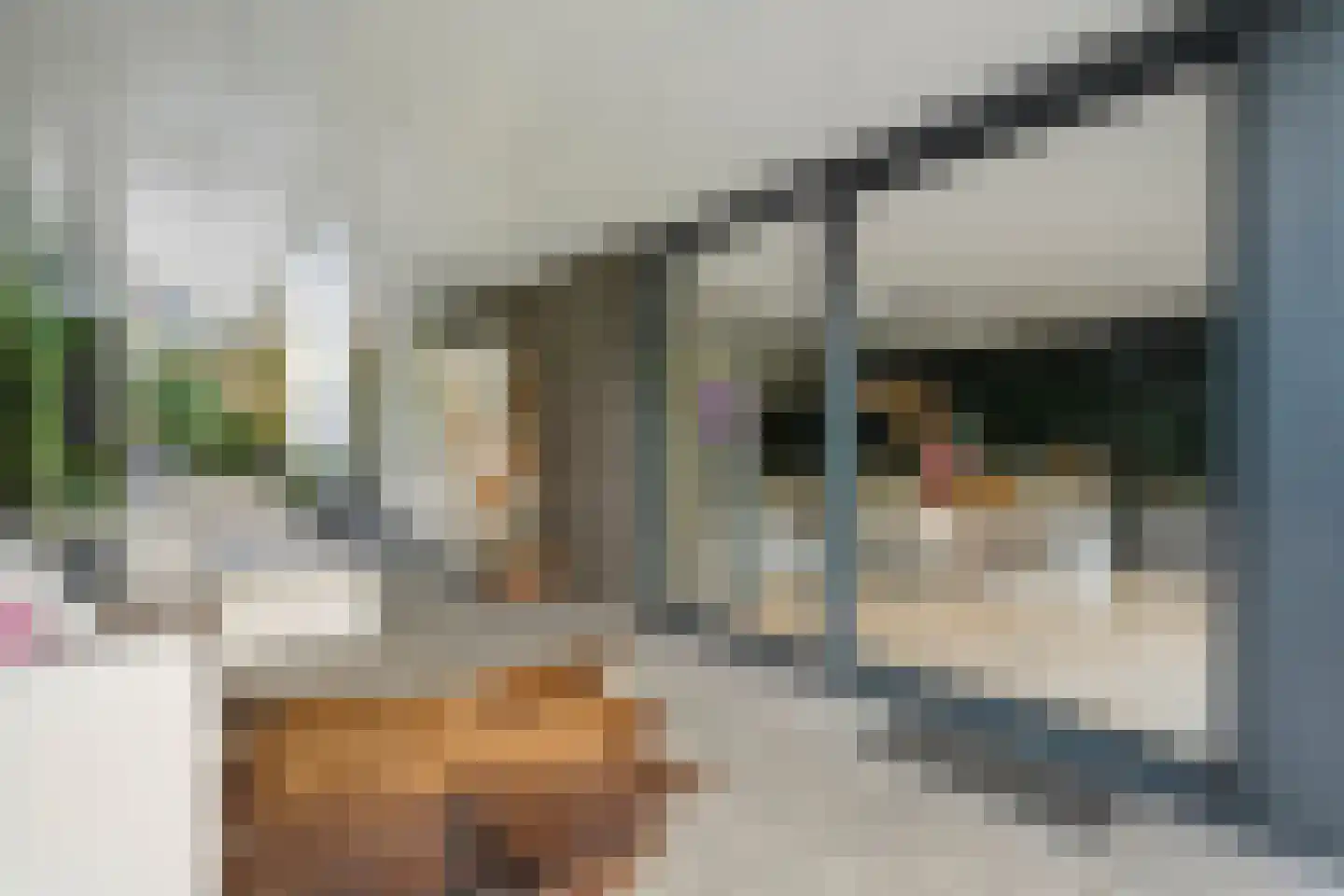Goeman Borgesiuslaan 3 Zwolle thumbnail 63