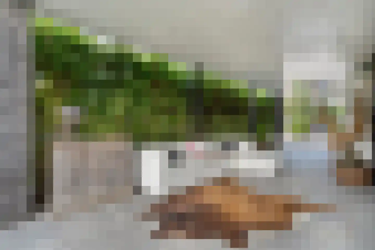 Goeman Borgesiuslaan 3 Zwolle thumbnail 64