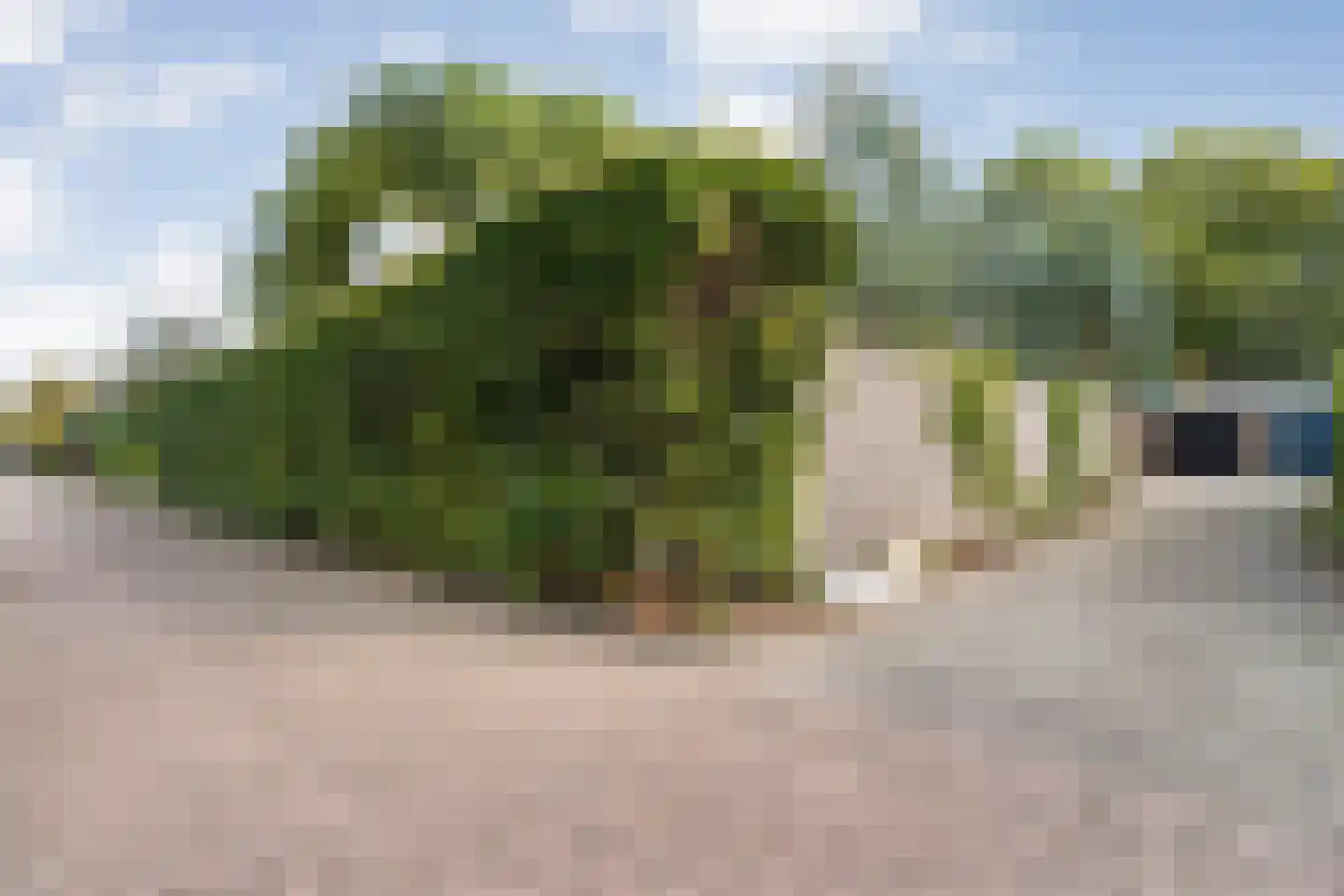 Goeman Borgesiuslaan 3 Zwolle thumbnail 66