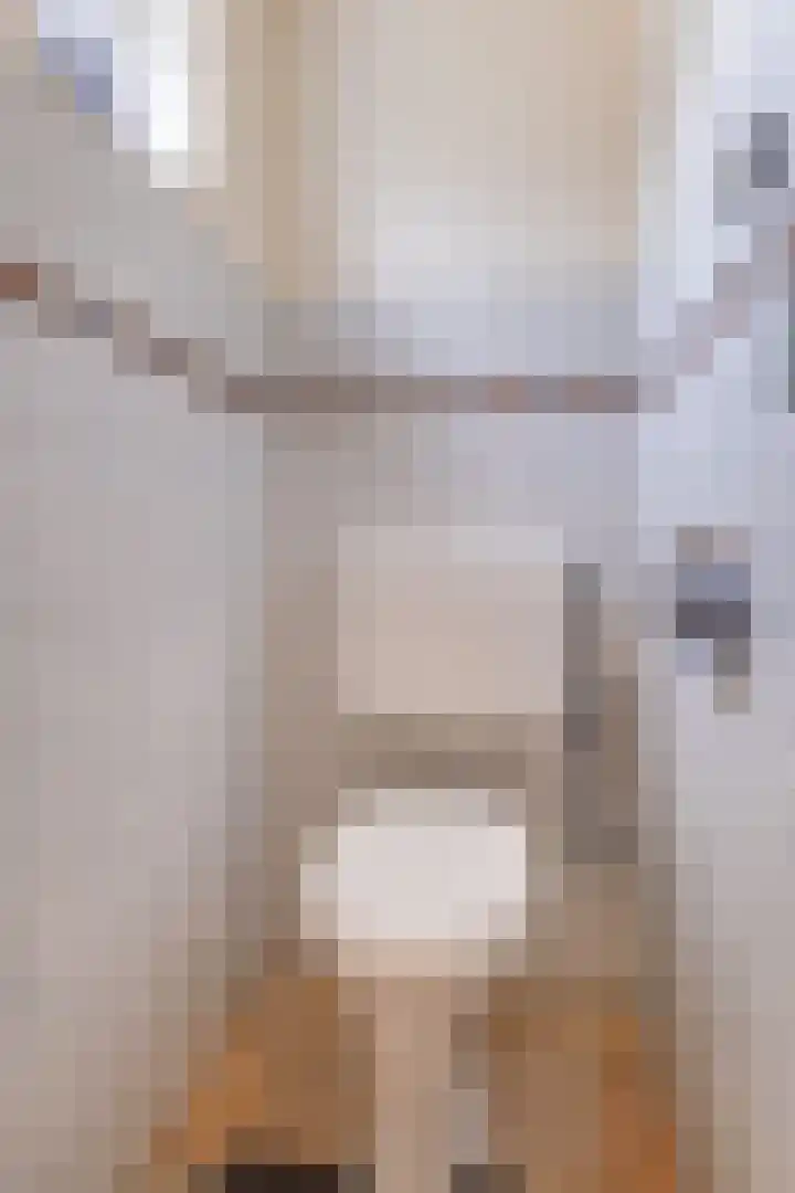 Goeman Borgesiuslaan 33 Sneek thumbnail 12