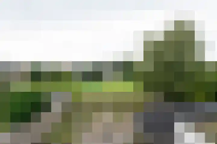 Goeman Borgesiuslaan 33 Sneek thumbnail 33