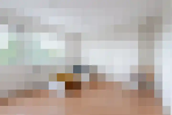 Goeman Borgesiuslaan 33 Sneek thumbnail 35