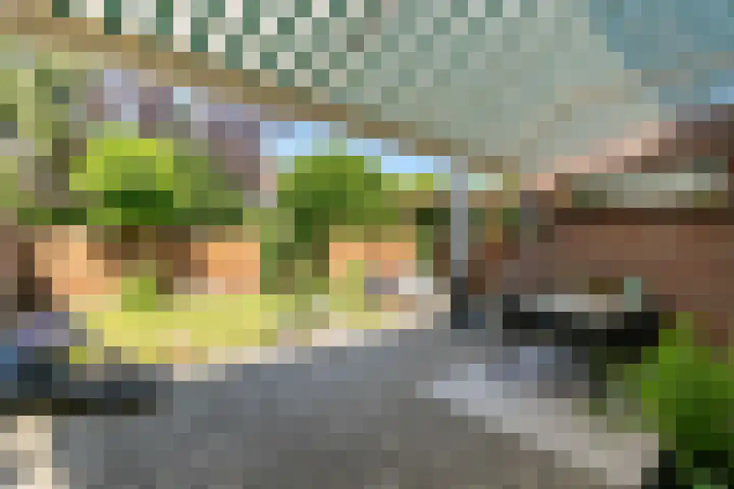 Goeman Borgesiuslaan 34 Naarden thumbnail 9