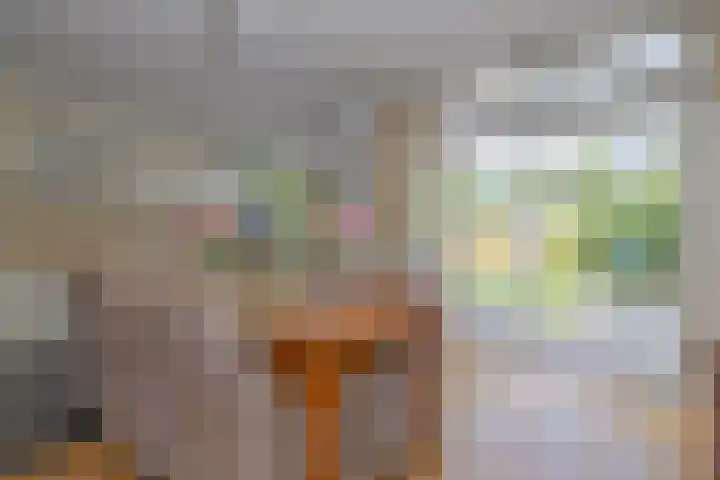 Goeman Borgesiuslaan 36 Naarden thumbnail 10