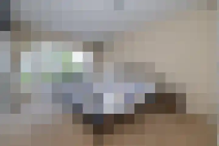 Goeman Borgesiuslaan 36 Naarden thumbnail 12