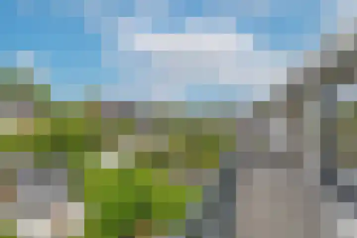Goeman Borgesiuslaan 36 Naarden thumbnail 14