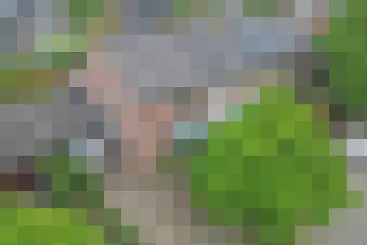 Goeman Borgesiuslaan 36 Naarden thumbnail 29