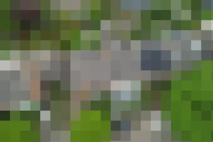 Goeman Borgesiuslaan 36 Naarden thumbnail 30