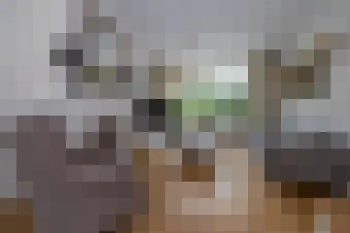 Goeman Borgesiuslaan 36 Naarden thumbnail 4