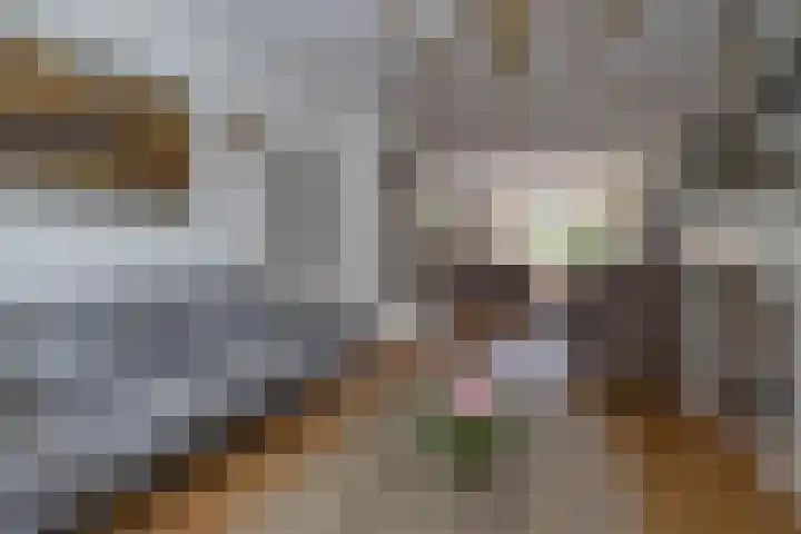 Goeman Borgesiuslaan 36 Naarden thumbnail 5